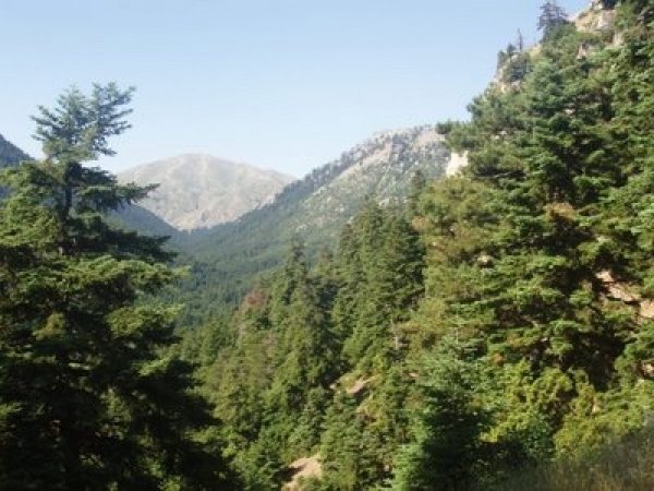 Η κοιλάδα της Φλαμπουρίτσας ανάμεσα στη Μικρή και τη Μεγάλη Ζήρεια
